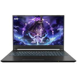 13TH Gaming Laptop Intel I9 13620H I7 13900HK GeForce RTX4050 6G RTX4060 8G GDDR6 6GB GPU 16